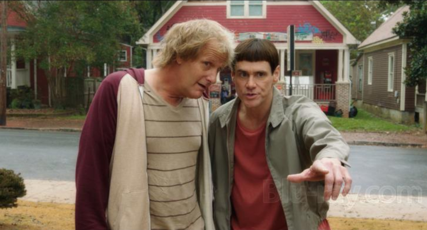 2026 06 21 17 44 18 download dumb and dumber to (2014) dual audio {hindi english} 480p [300mb] 720