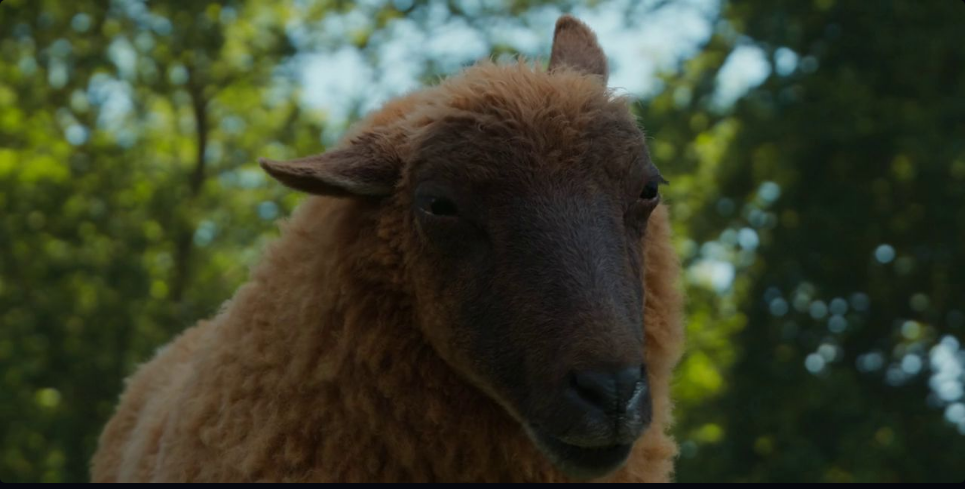 2026 09 06 19 22 50 download the sheep detectives (2026) web dl dual audio {hindi english} 480p [370